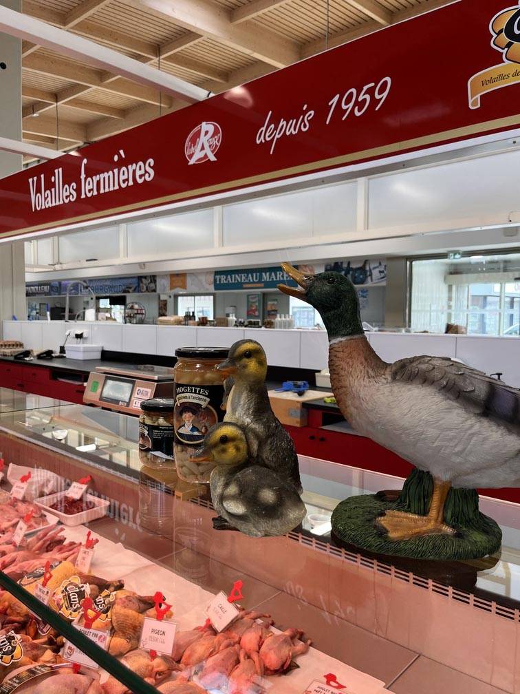 Volailles fermières  Marché de Challans (2)